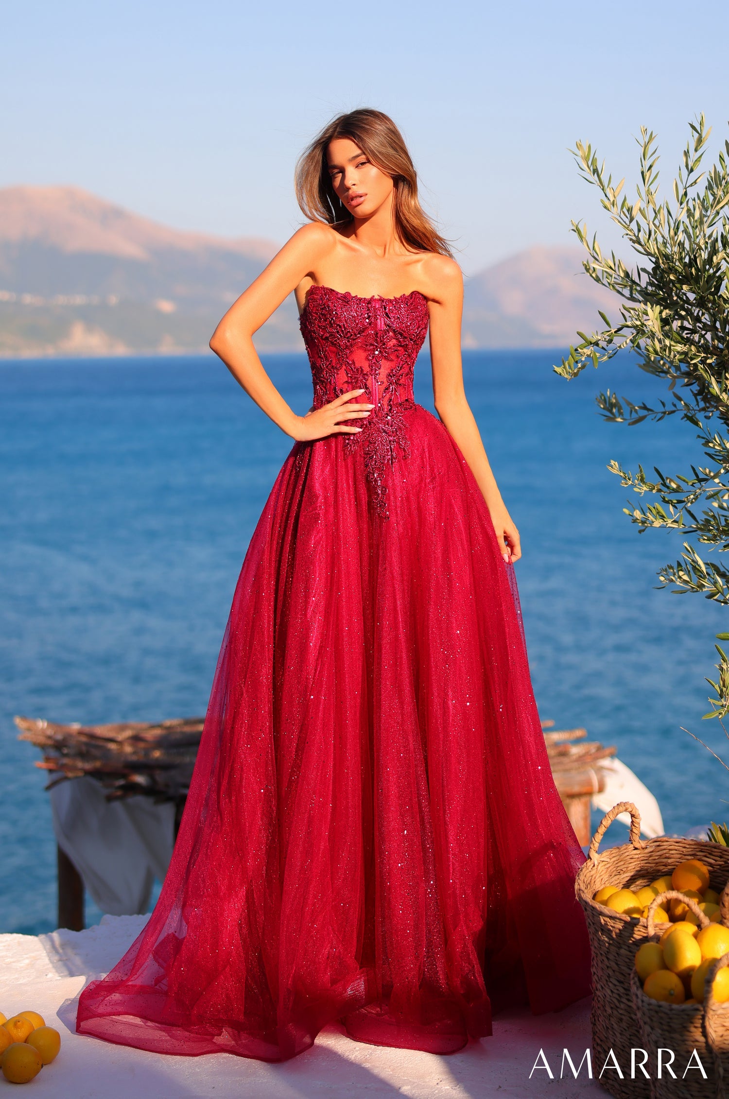Prom Dresses Long Formal Prom Lace Applique Dress Wine