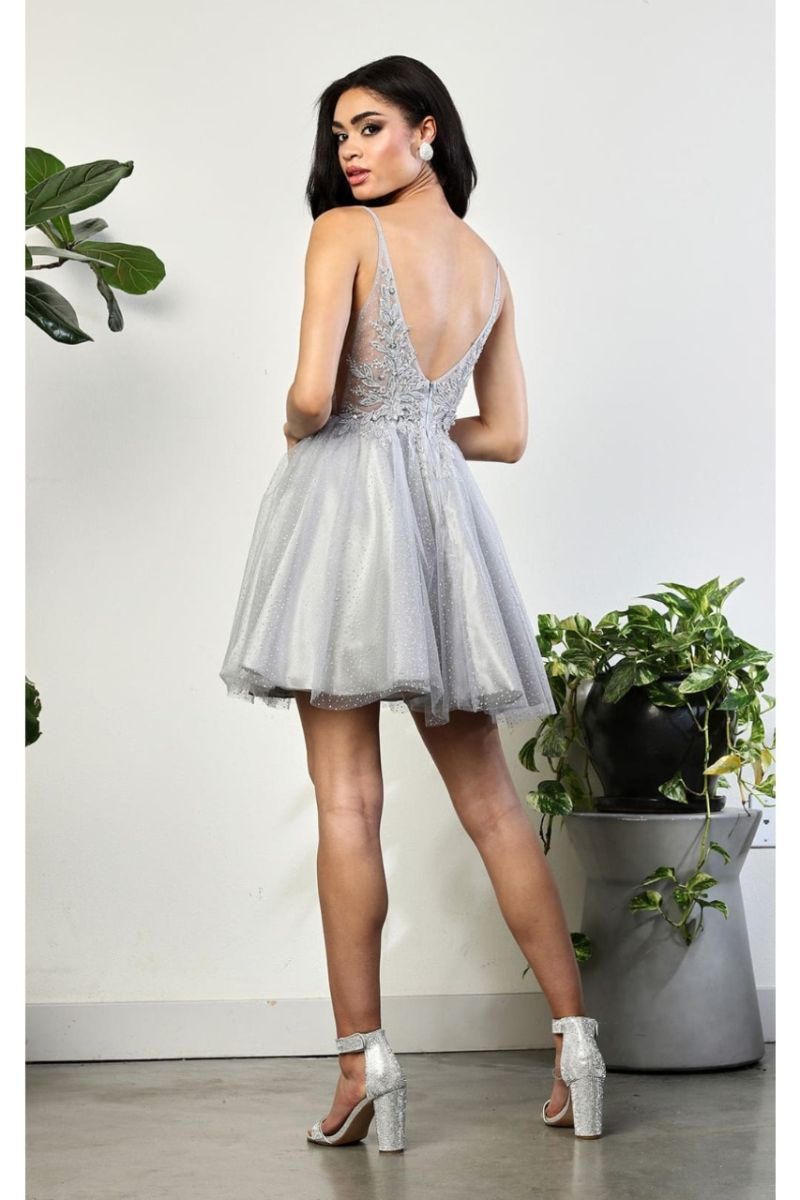 Illusion Mini/Short Tulle Cocktail A-Line May Queen 2025