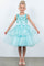 Flower Girl Dresses A Line Short Sequin Applique Flower Girl Dress Mint