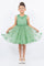 Flower Girl Dresses Flower Girl 3D Floral Applique A Line Short Dress Sage