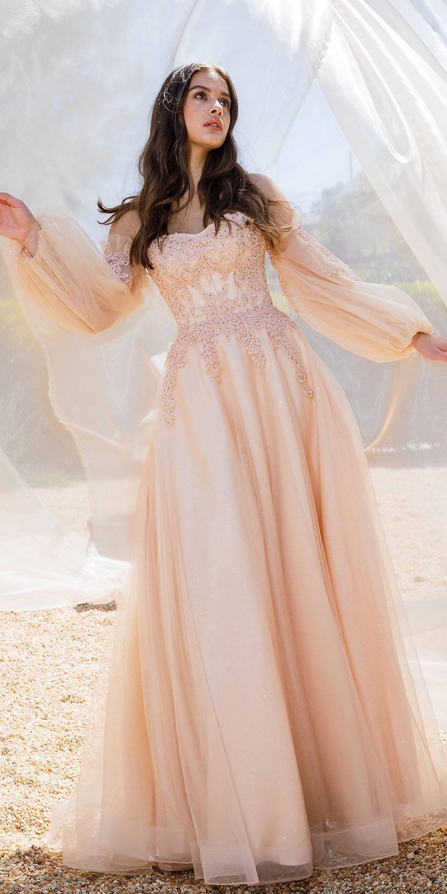 Prom Dresses Long Formal A Line Prom Ball Gown Lace Dress Eureka Fashion 9505 Champagne Rose