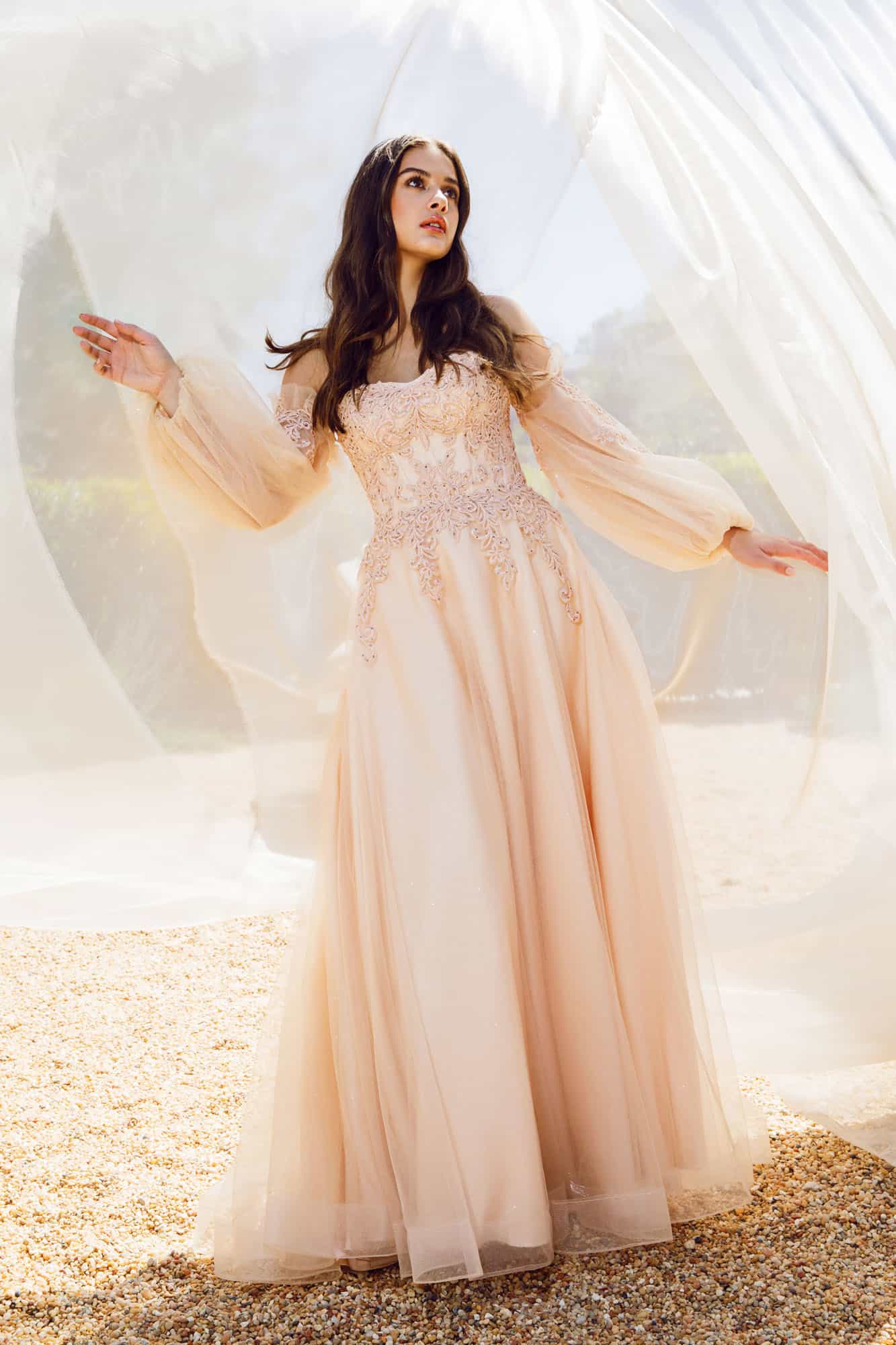 Prom Dresses Long Formal A Line Prom Ball Gown Lace Dress Eureka Fashion 9505 Champagne Rose