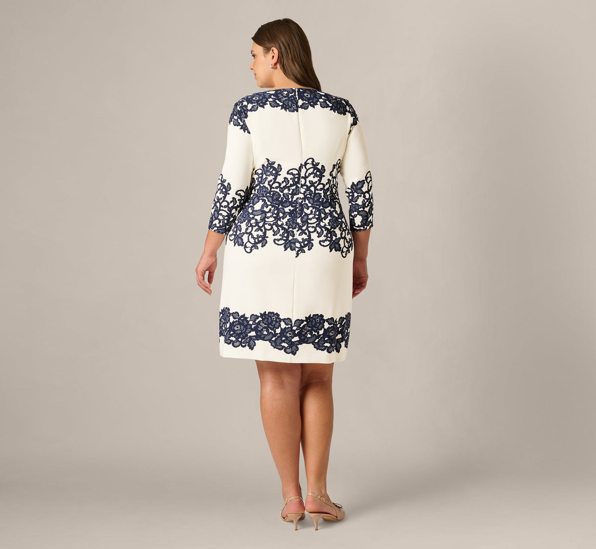 Formal Occasion Dress Adrianna Papell AP1D105223