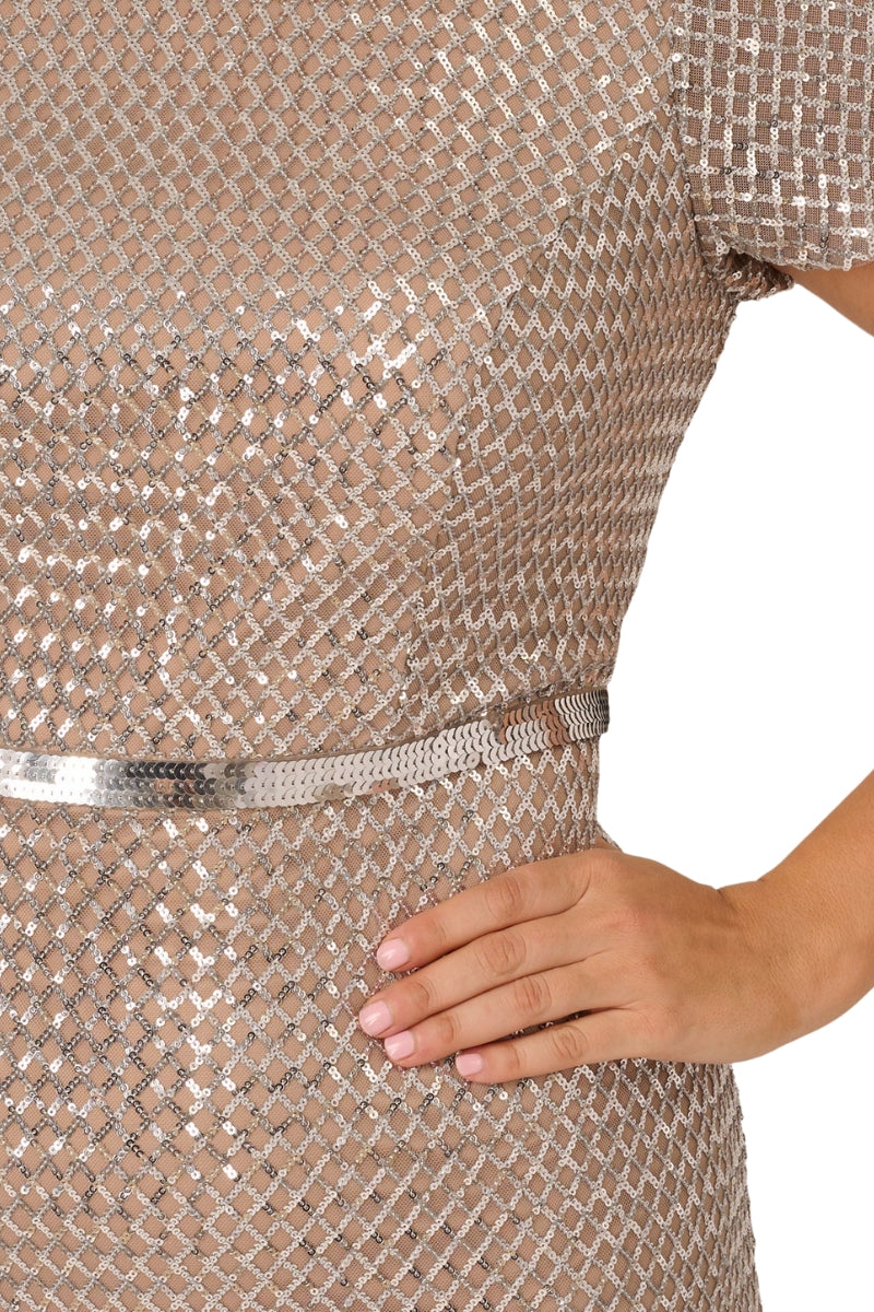 Adrianna Papell AP1E211551 W Long Formal Sequin Plus Size Dress