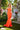 Prom Dresses Prom Fitted Long Formal Evening Dress Tangerine