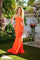 Prom Dresses Prom Fitted Long Formal Evening Dress Tangerine