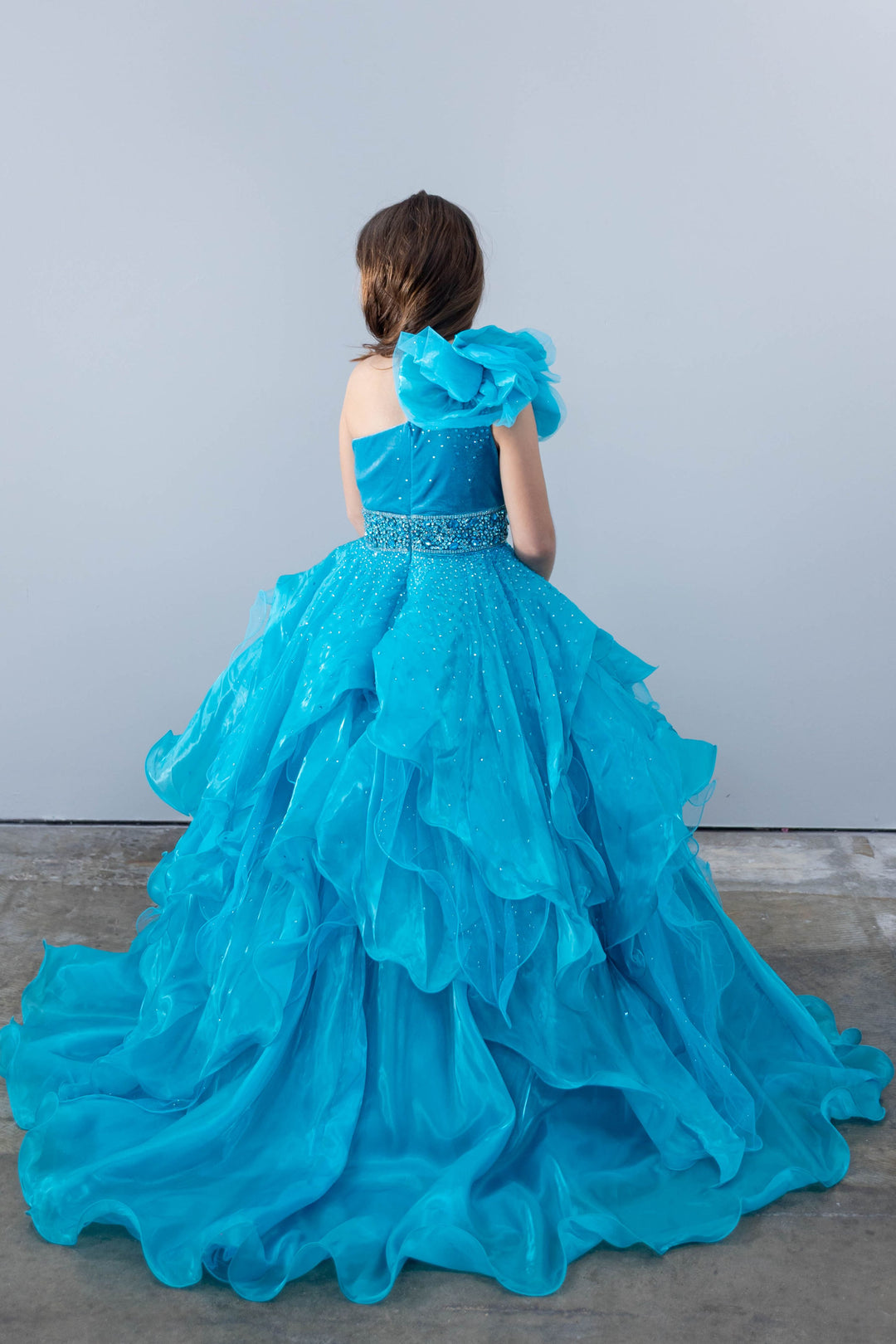 One-Shoulder Floor-Length Organza Special Occasion Ball Gown Ava Presley 26813