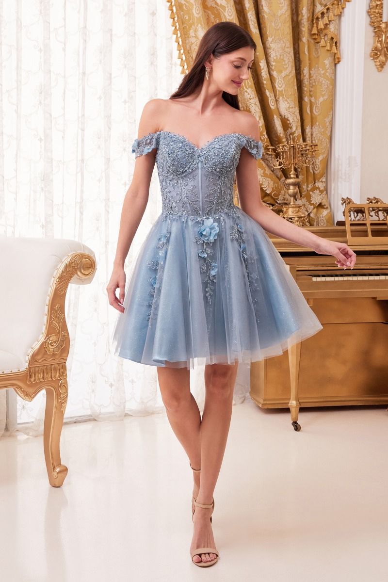 Prom Dresses Off Shoulder Short Tulle A Line Short Prom Dress Smoky Blue