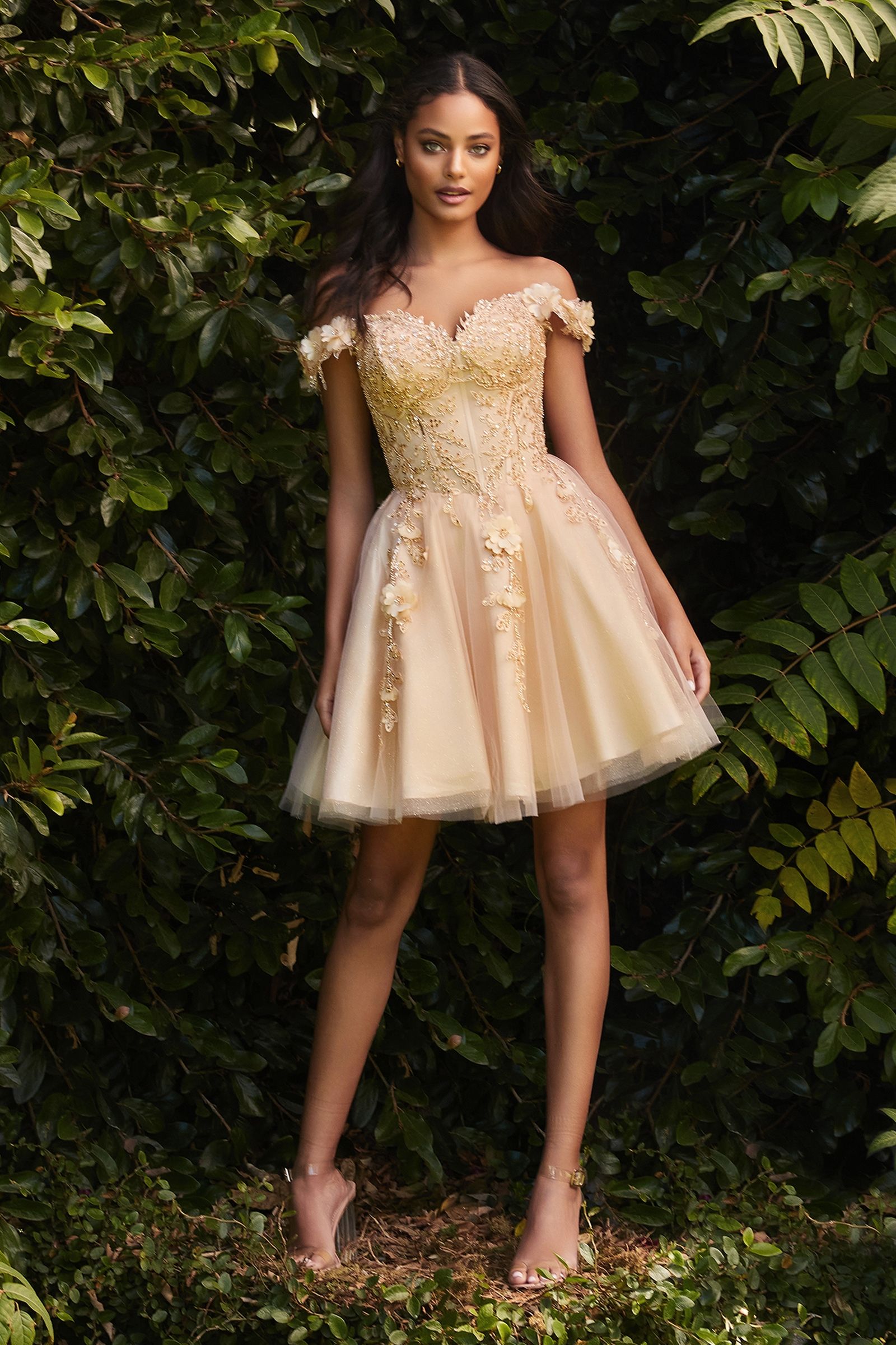 Prom Dresses Off Shoulder Short Tulle A Line Short Prom Dress Champagne