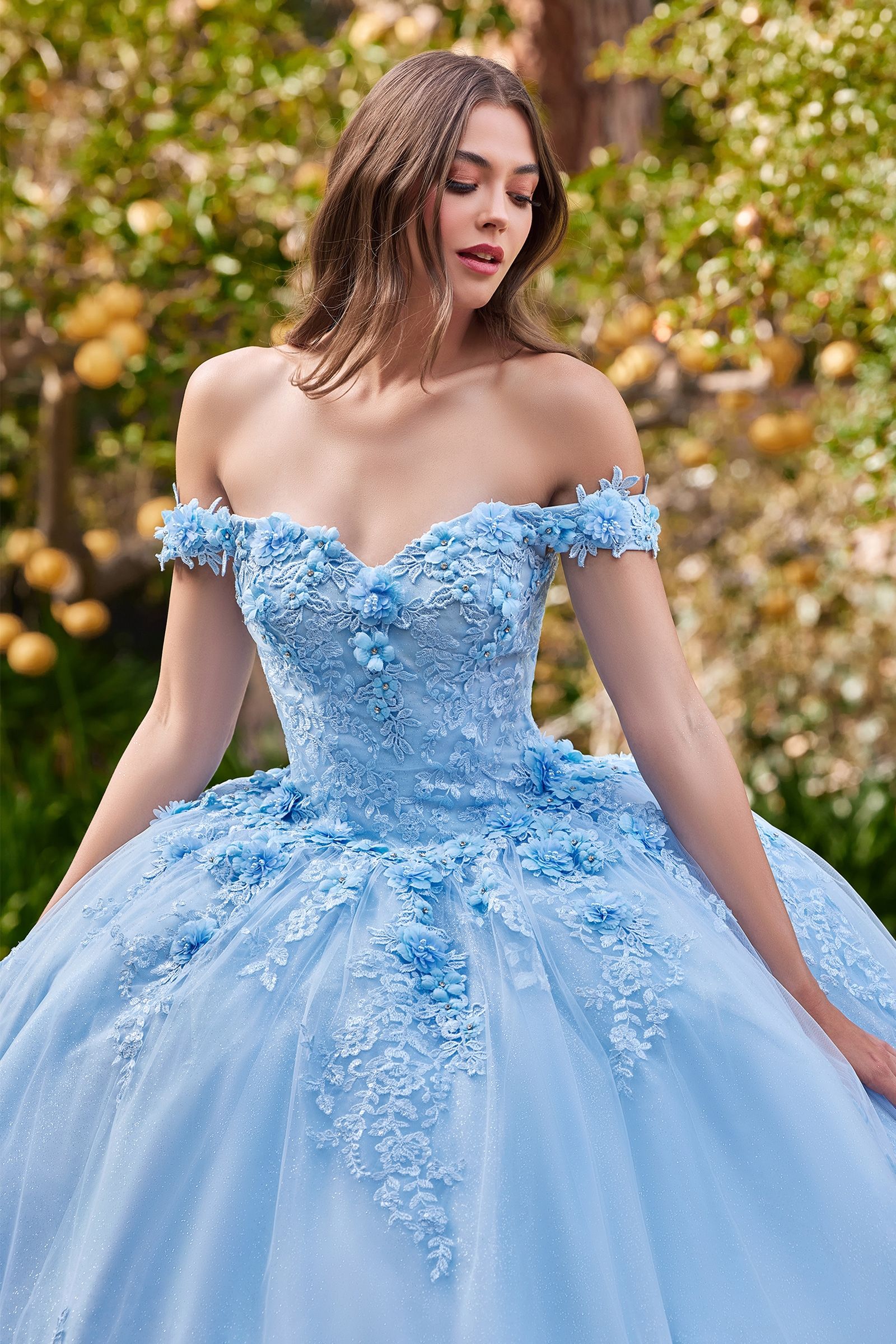 Quinceniera Dresses Long Floral Ball Gown Glitter Quinceanera Dress Lt Blue