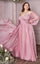 LaDivine CD243C Long  A Line Plus Size Formal Dress