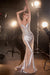 Prom Dresses Fitted Prom Long Dress Silver