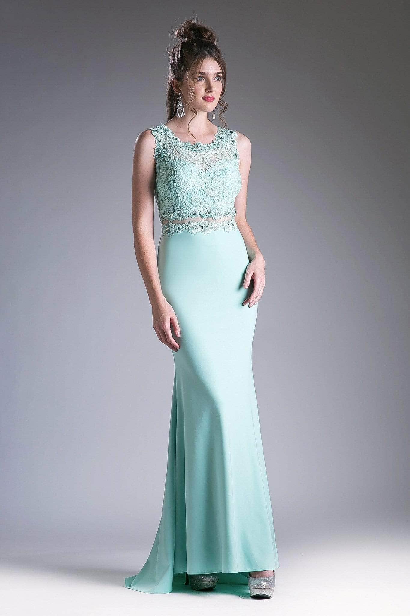 Prom Dresses Fitted Long Formal Lace Prom Dress Mint