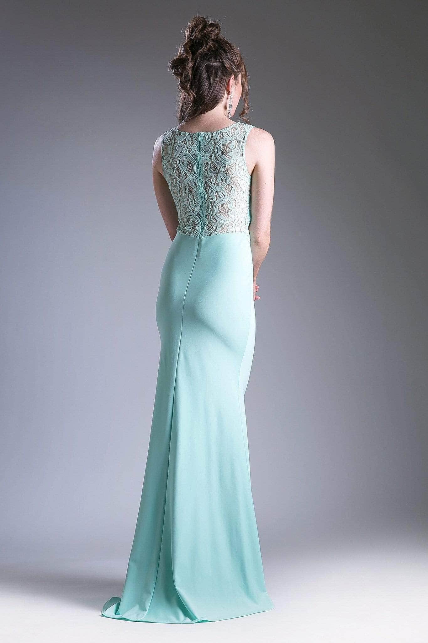 Prom Dresses Fitted Long Formal Lace Prom Dress Mint