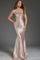 Prom Dresses Long Fitted Formal Prom Dress Champagne