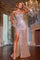 Prom Dresses Beaded Prom Dress Fitted Long Formal Gown Nude/Pink