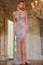 Prom Dresses Prom Fitted Sequins Long Formal Dress Silver