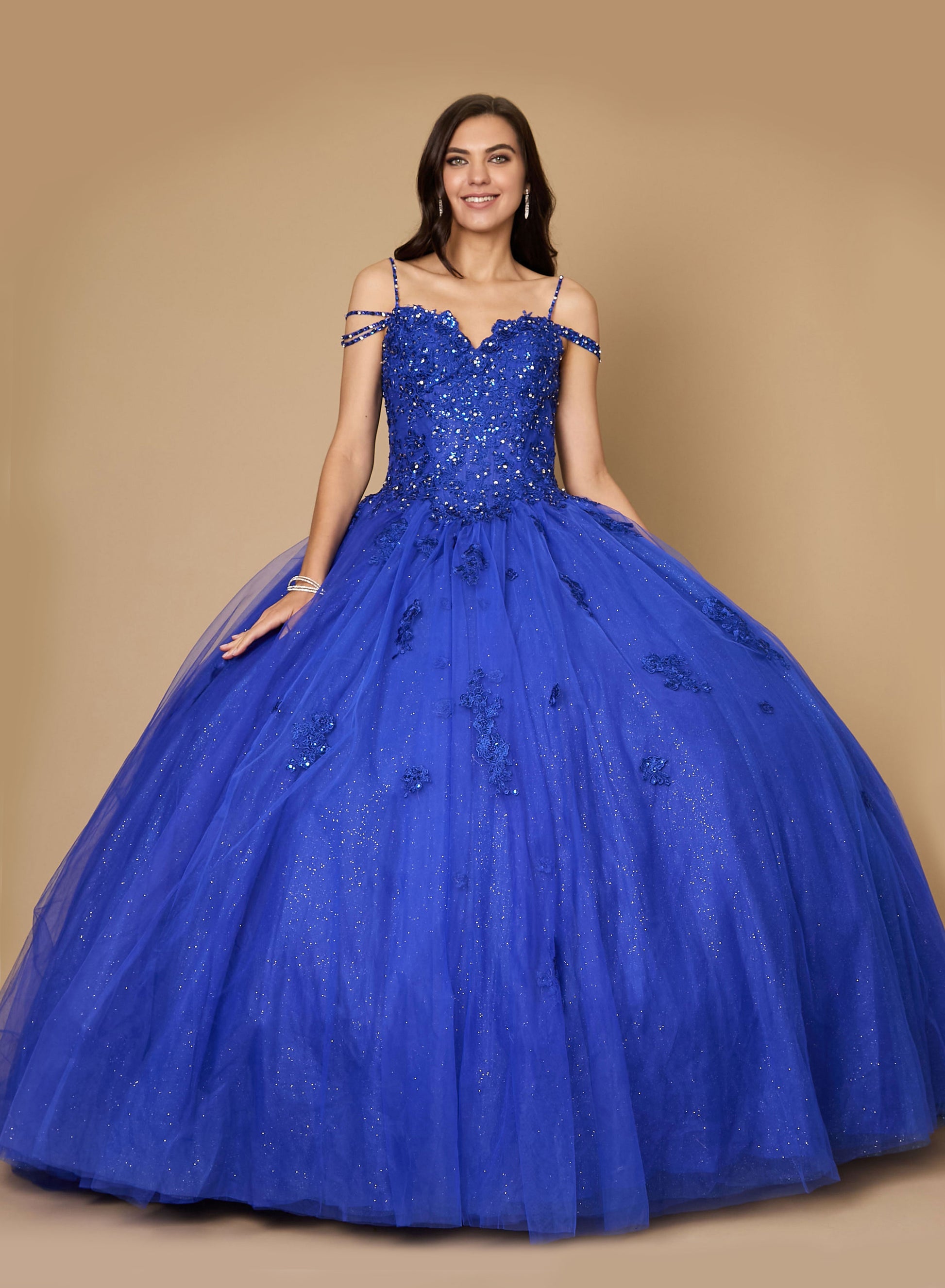 Long Quinceanera Dress Glitter Ball Gown