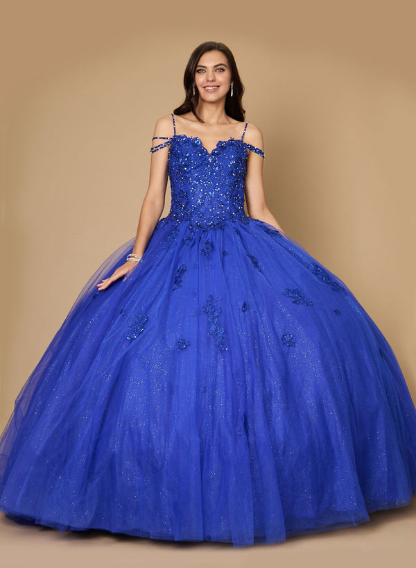 Long Quinceanera Dress Glitter Ball Gown
