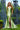 Prom Dresses Prom Long Slit Fitted Formal Dress Sage