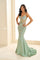Prom Dresses Mermaid Long Formal Evening Prom Dress Sage