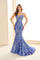 Prom Dresses Prom Formal Lace Long Mermaid Evening Dress Dusk
