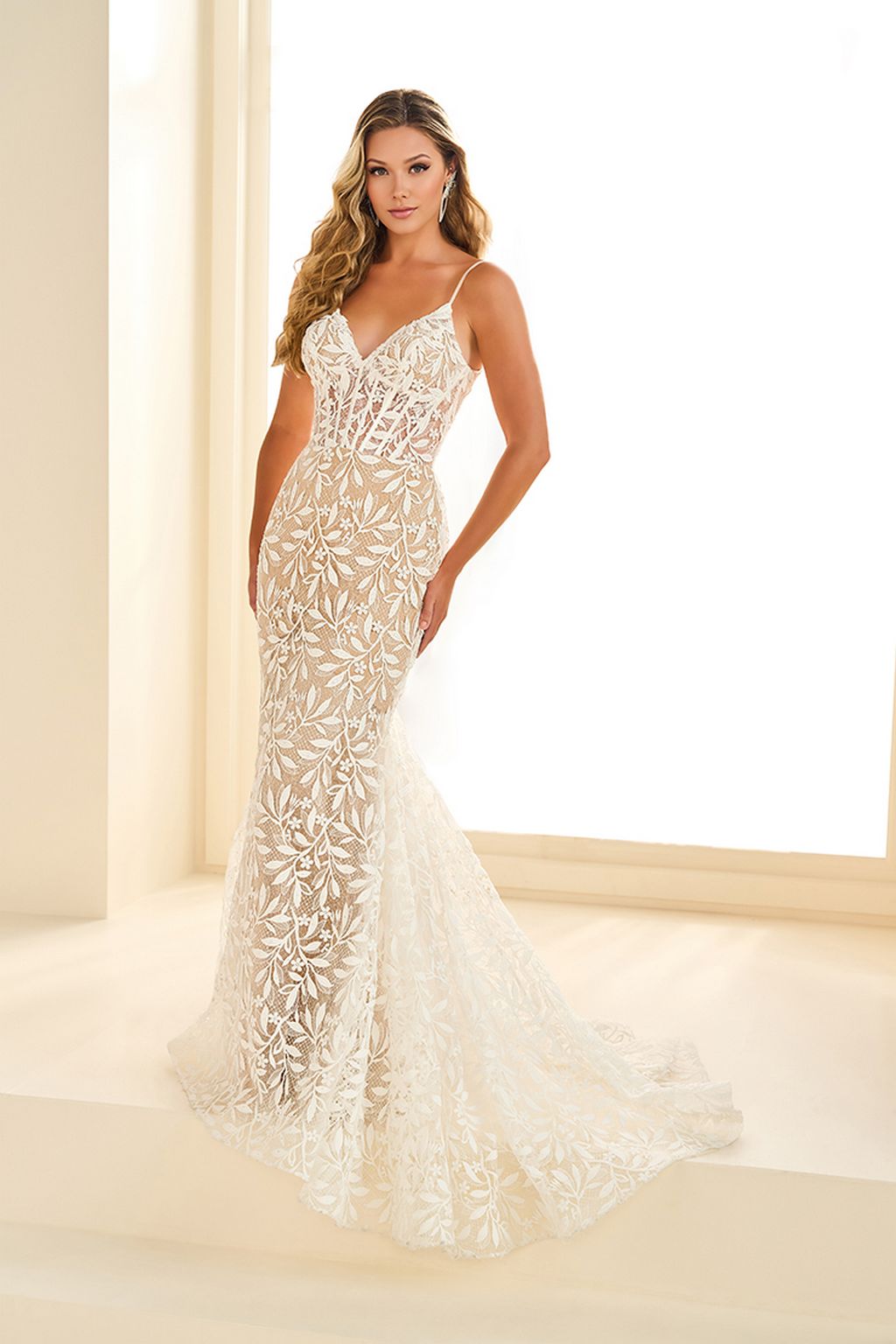 Prom Dresses Prom Formal Lace Long Mermaid Evening Dress Ivory/Nude