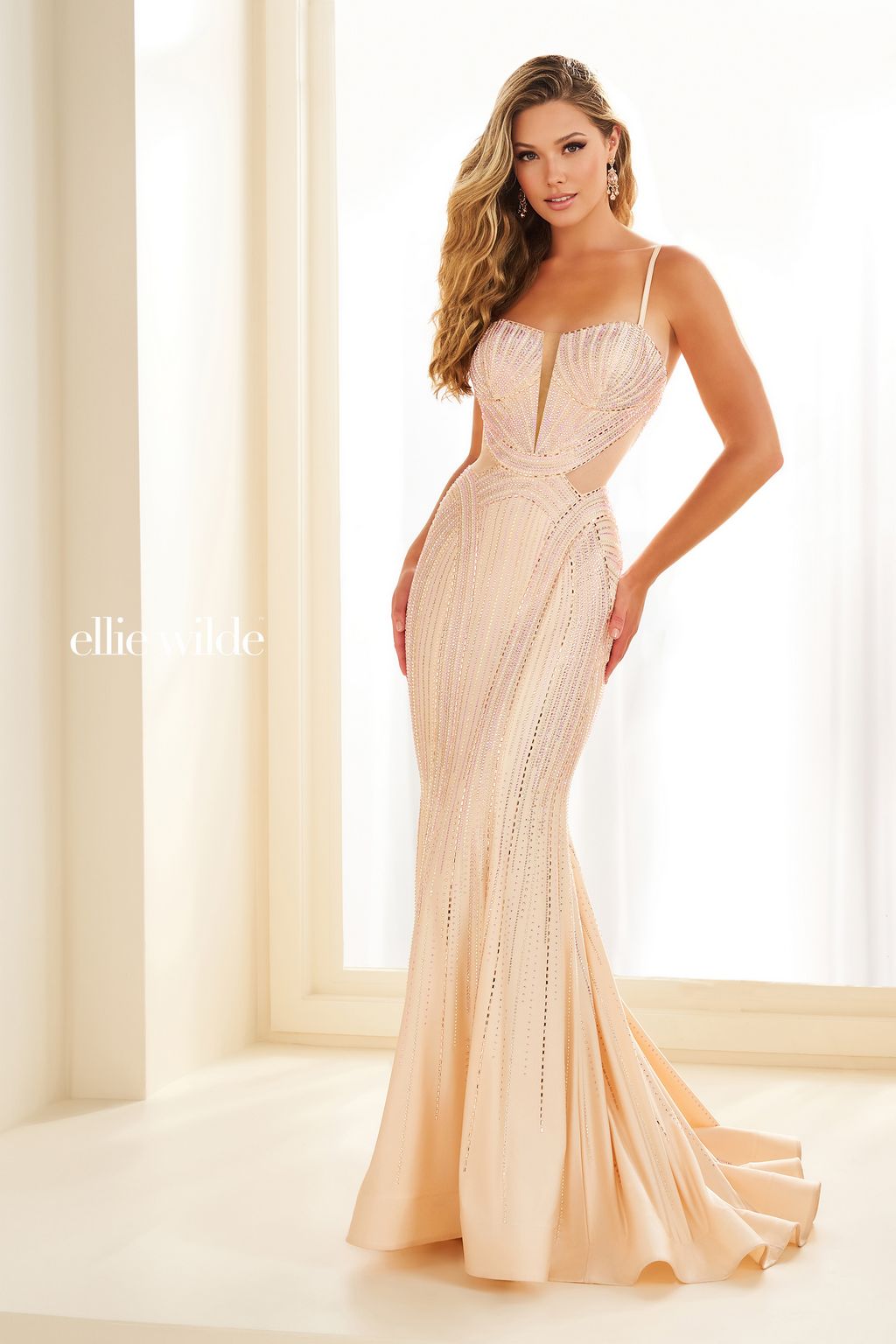 Ellie Wilde EW36013 Long Formal Gown Mermaid Prom Dress