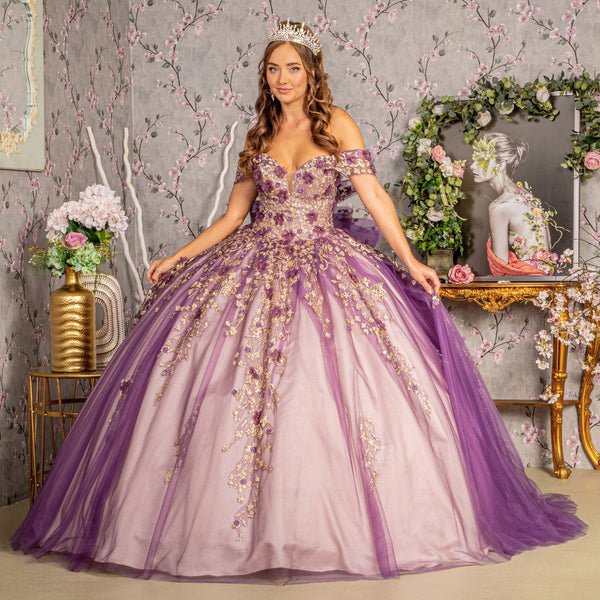 Long Ball Gown Quinceanera Dress