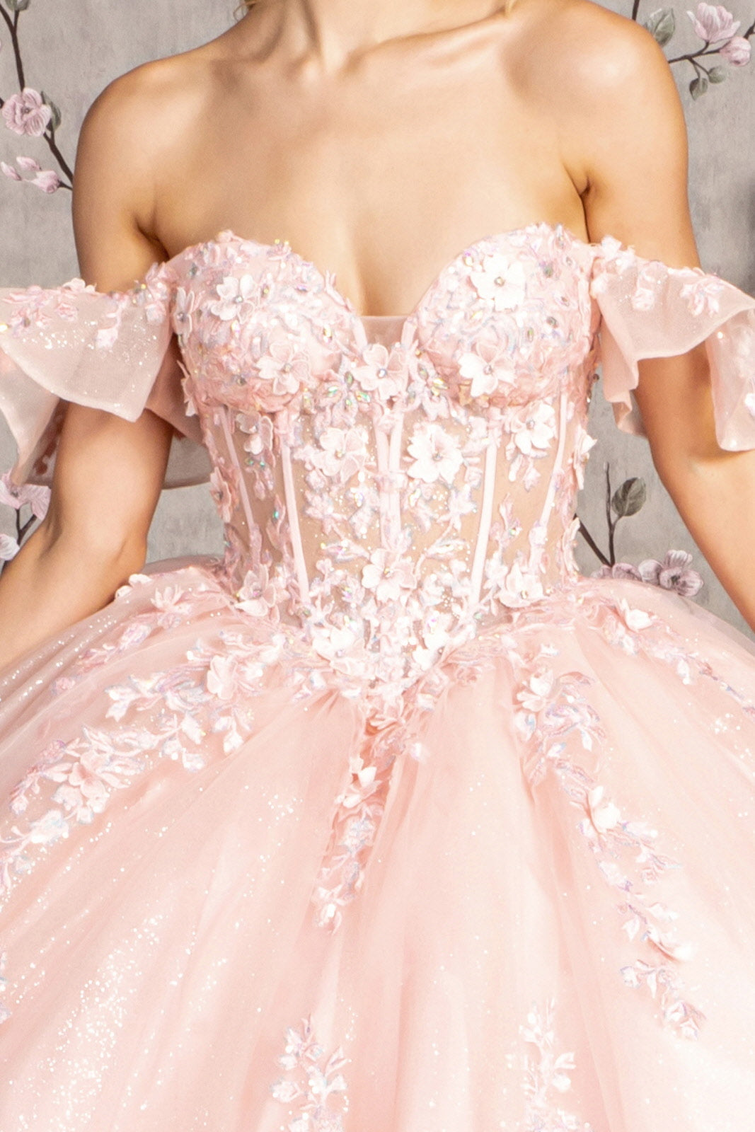 3D Floral Applique Quinceanera Dress Cold Shoulder Ball Gown for Photoshoot