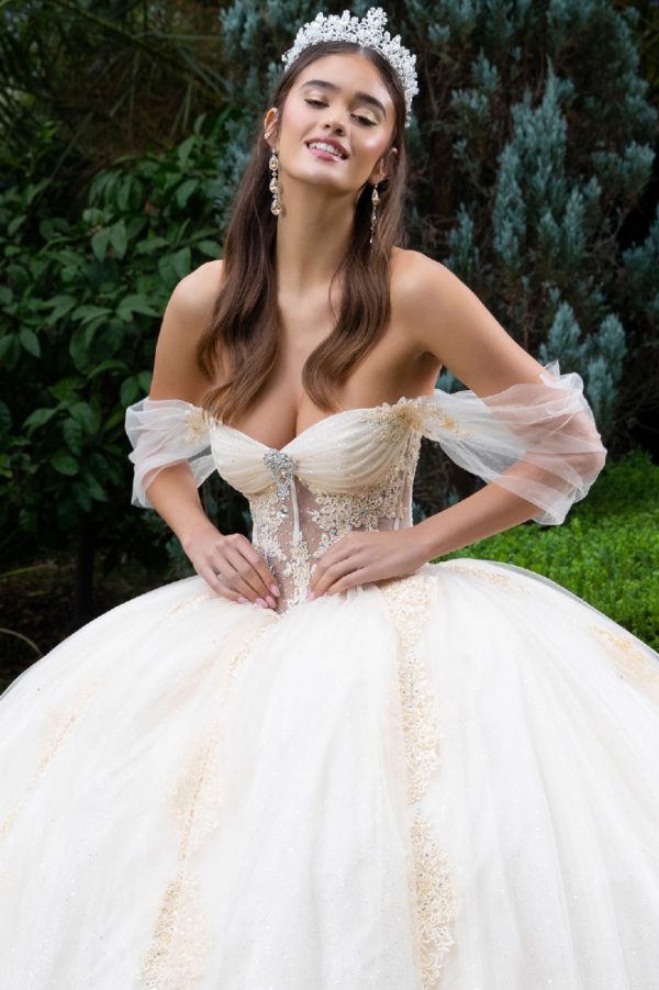Quinceanera Dresses Long Glitter Beaded Quinceanera Dress Champagne
