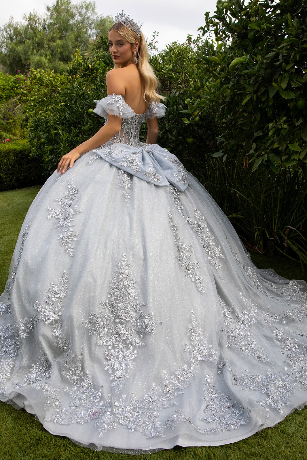 Long Ball Gown Quinceanera Glitter Dress