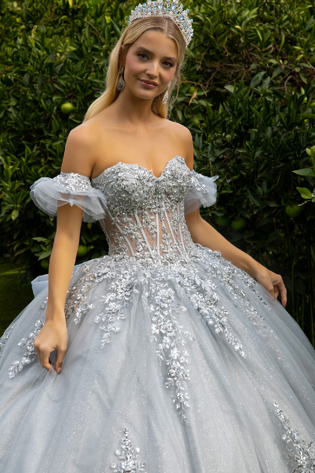 Long Ball Gown Quinceanera Glitter Dress