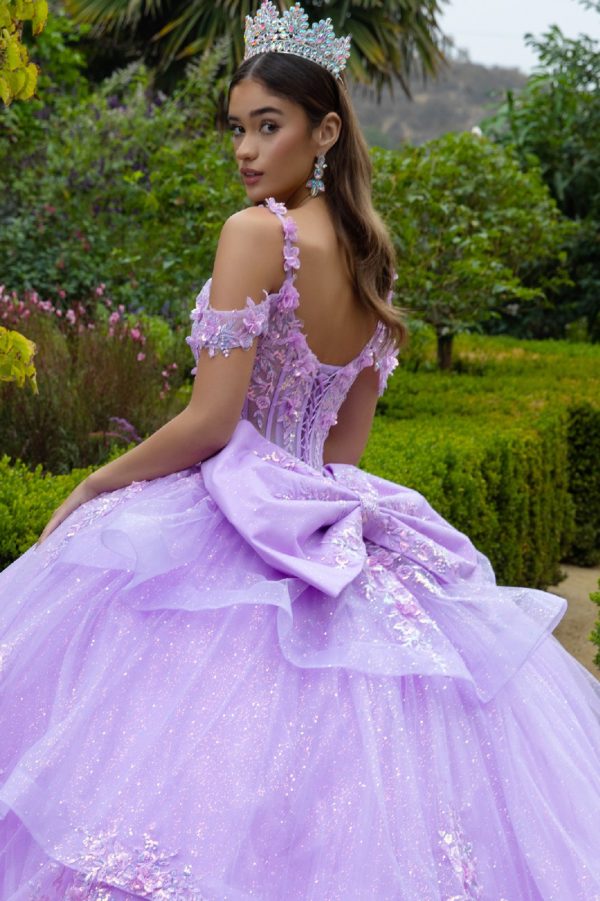 Long Ball Gown Applique Quinceanera Dress - Lavender / XL Long Ball Gown Applique Quinceanera Dress - Lavender / XL
