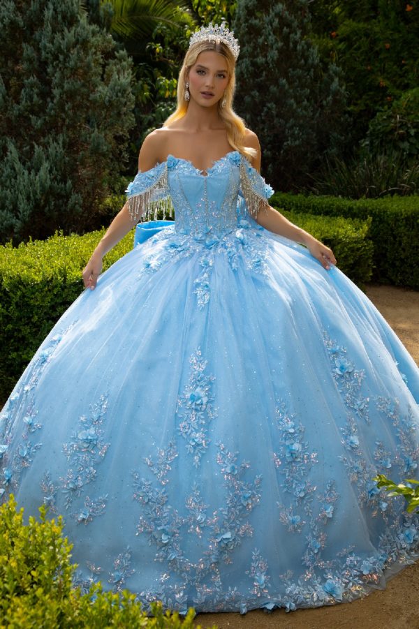 Long Ball Gown 3D Floral Applique Quinceanera Dress