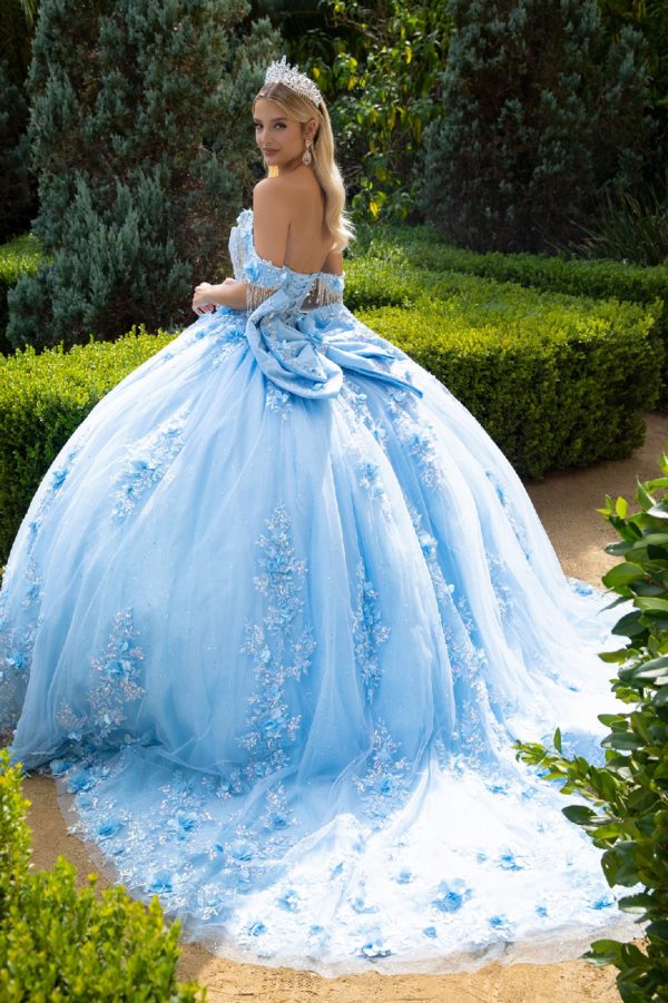 Long Ball Gown 3D Floral Applique Quinceanera Dress