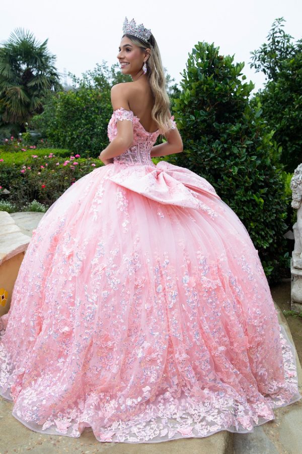 Long 3D Floral Applique Corset Quinceanera Dress
