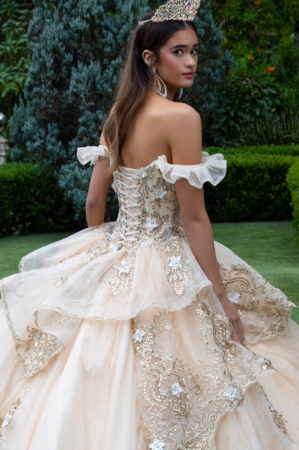 Long 3D Floral Applique Quinceanera Dress - Champagne / 2XL