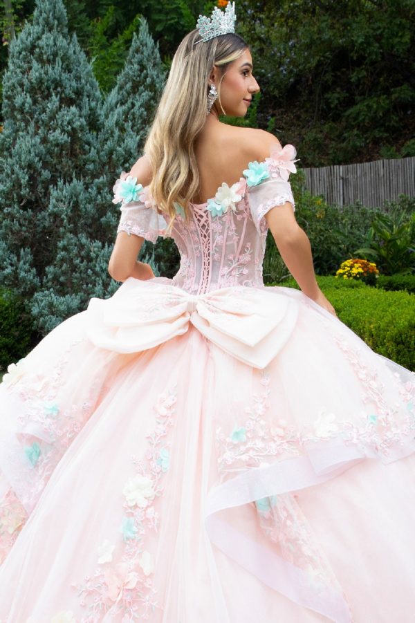 Quinceniera DressesLong Ball Gown Floral Applique Quinceanera Dress Blush