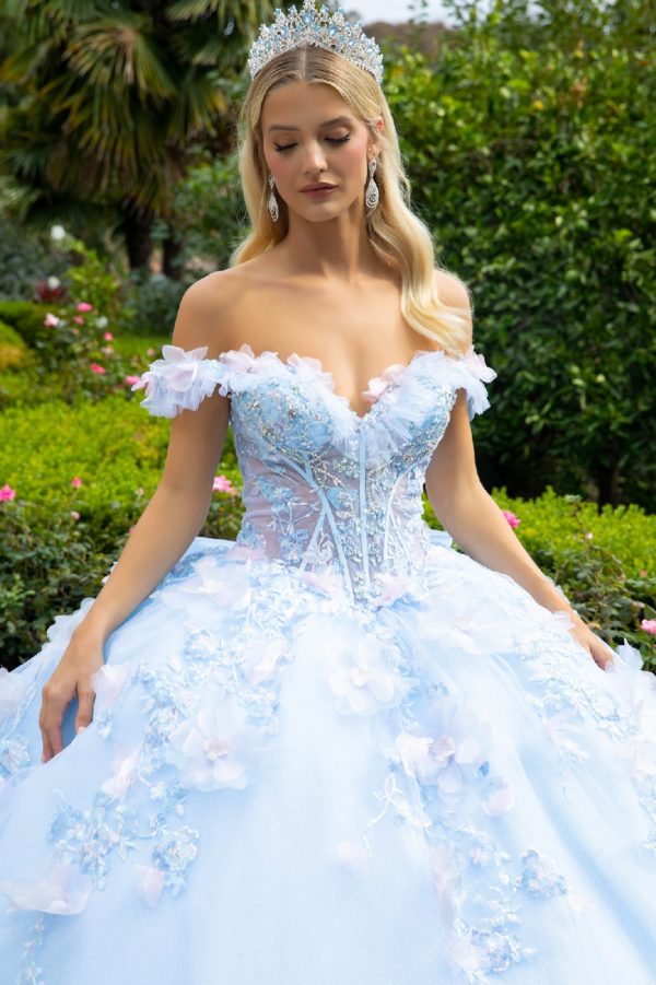 Quinceniera Dresses Sweet 16 3D Floral Applique Long Quinceanera Dress Light Blue