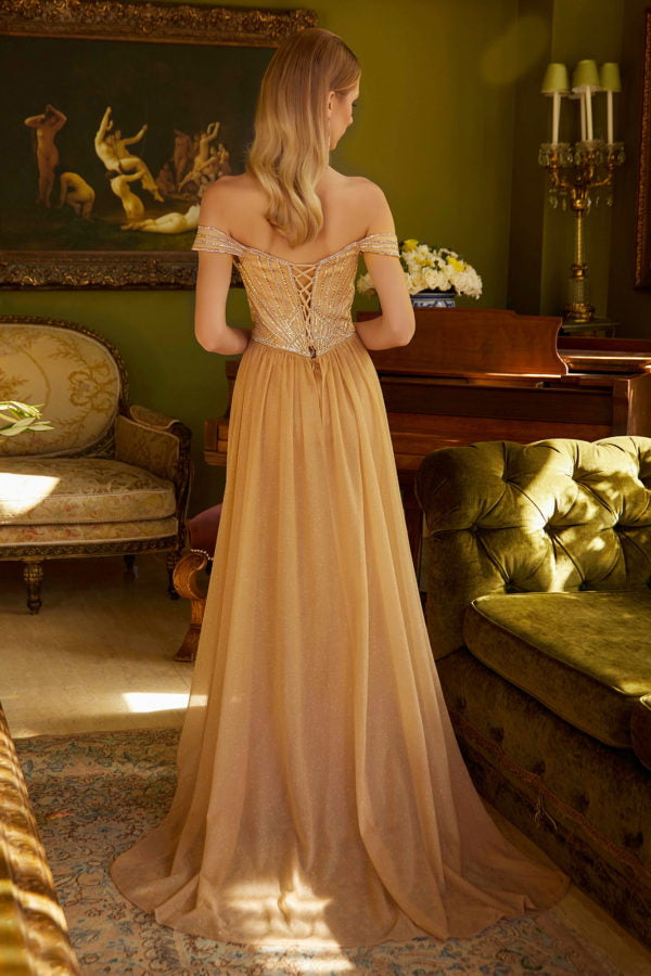 Prom Long Fitted Formal Glitter Overskirt Dress
