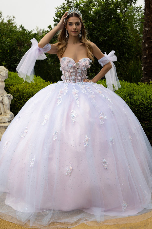 Quinceniera Dresses Long 3D Ball Gown Glitter Quinceanera Dress Blue/Pink