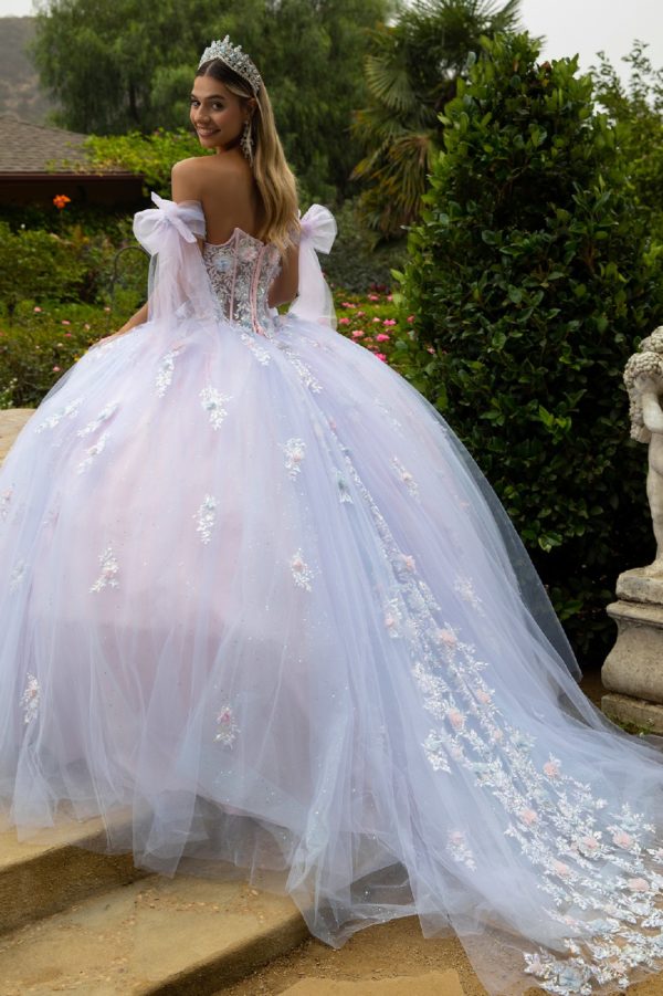 Quinceniera Dresses Long 3D Ball Gown Glitter Quinceanera Dress Blue/Pink