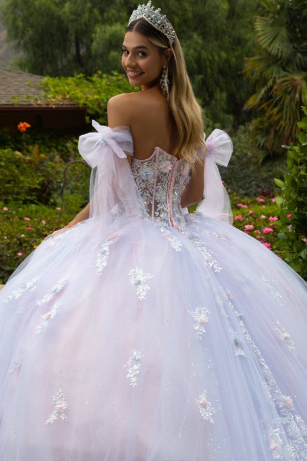 Quinceniera Dresses Long 3D Ball Gown Glitter Quinceanera Dress Blue/Pink