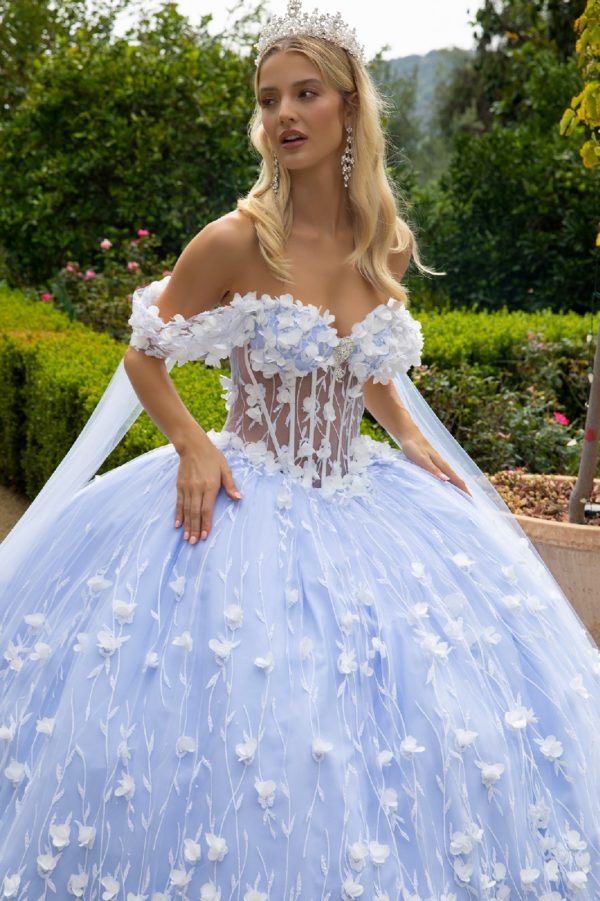 Long Quinceaneara Dress 3D Floral Applique Glitter Ball Gown
