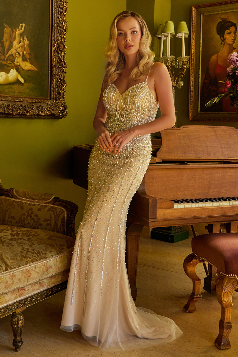 Long Beaded Sequin Formal Fitted Prom Dress – The Dress Outlet