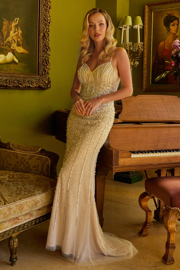 Long Beaded Sequin Formal Fitted Prom Dress