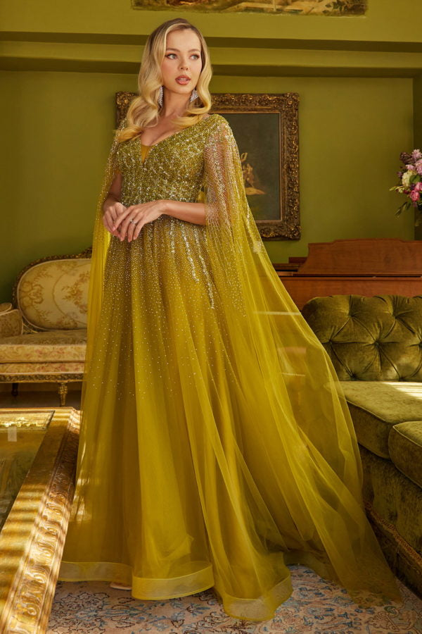 formal dress costume Bridgerton Inspired Gold Printed Regency Era Ball Gown - Regency Era prom dress costume Custom Made main image 1