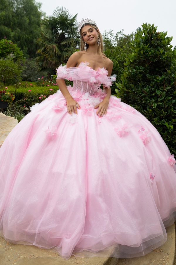 Long Ball Gown Glitter 3D Floral Applique Quinceanera Dress