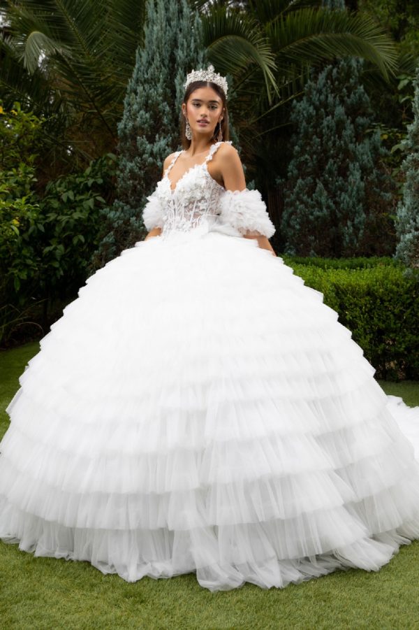 Long Ball Gown 3D Applique Detachable Sleeve Quinceanera Dress